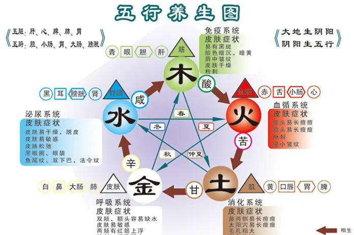 红-火主心,黄-土主脾,白-金主肺,黑-水主肾,简言之绿色系五行属木,绿