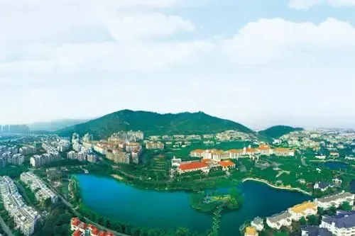 豪迈人生乡土情怀土豪杨国强印象