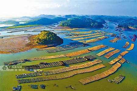 南北钦防四市同城化加快推进