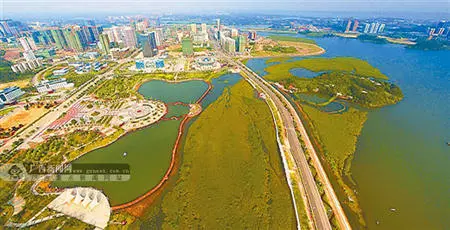 南北钦防四市同城化加快推进