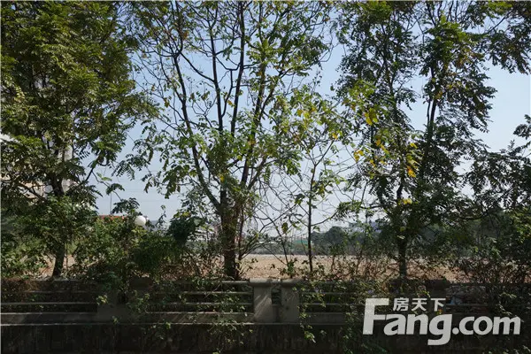 粤隆客车厂地块