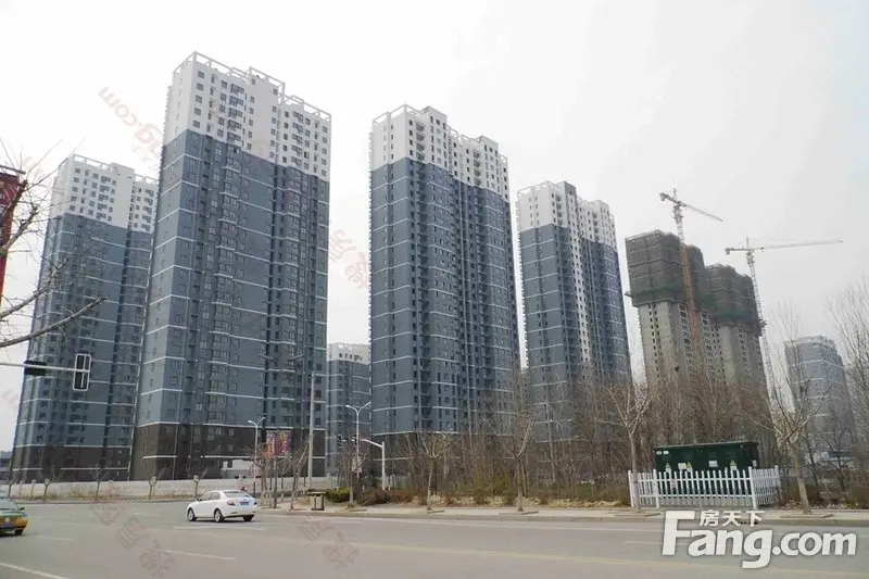 奚仲湖畔 森林公园旁 2015年的湖景花园(组图)_房产资讯-枣庄房天下