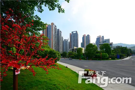 凯茵又一城 洋房实景图