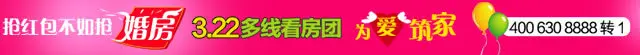 看房团
