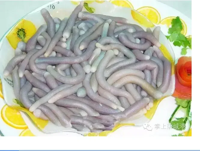 防城港八大正宗黑暗料理吃过的都是狠角色