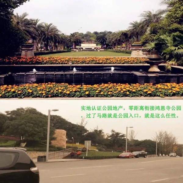 效果图