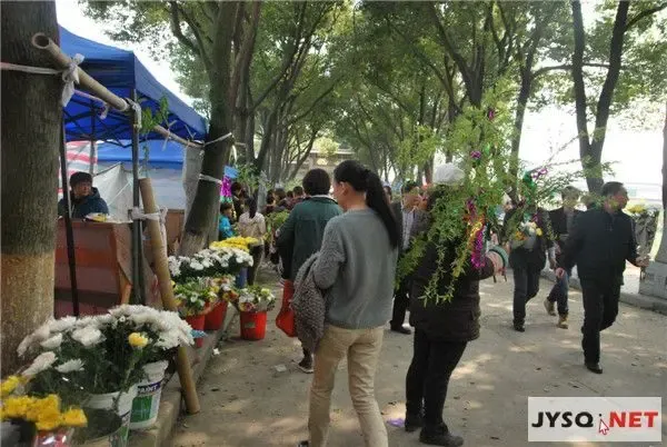 江阴清明节前双休日迎来祭扫高峰两天破20万人