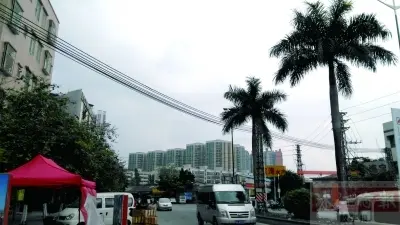 黄岐