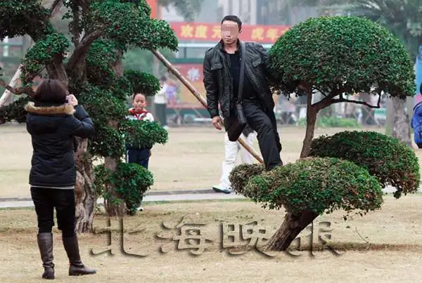 男子踩在树上留影。 许振国 摄