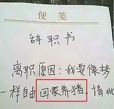 "老板,我不干了!"史上最牛逼辞职信,我们懂你说的,也懂你没说的