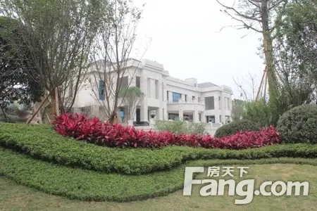 邦泰国际社区