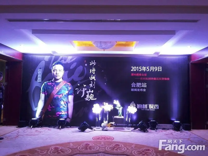 原树提香之夜此时此刻许巍巡回演唱会合肥站新闻发布会