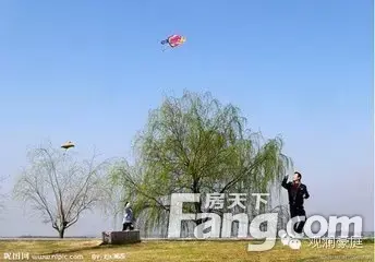 500只风筝免费领 放飞梦想