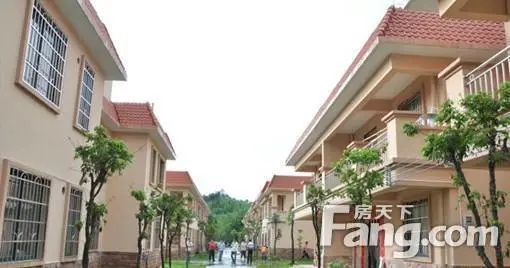 工商联“点赞”星河湾丨捐赠逾亿扶贫狮象村