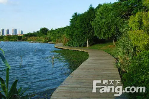 五缘湾