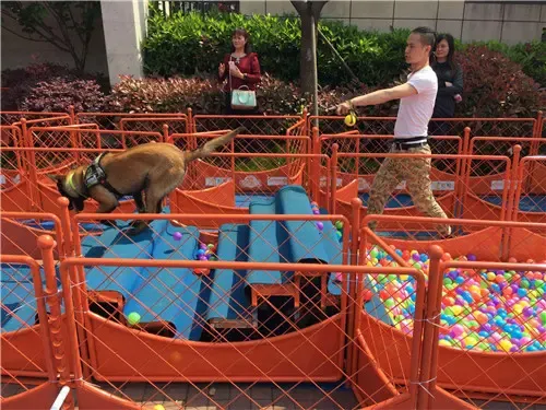 星人"在佘山珑原售楼处拉开帷幕,本次活动吸引众多市民携爱犬参与比赛