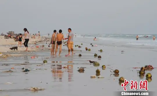 5月4日，退潮后银滩海滩出现满地椰子壳。