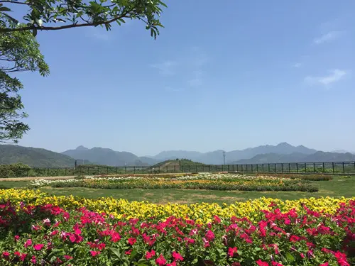 景业荔都