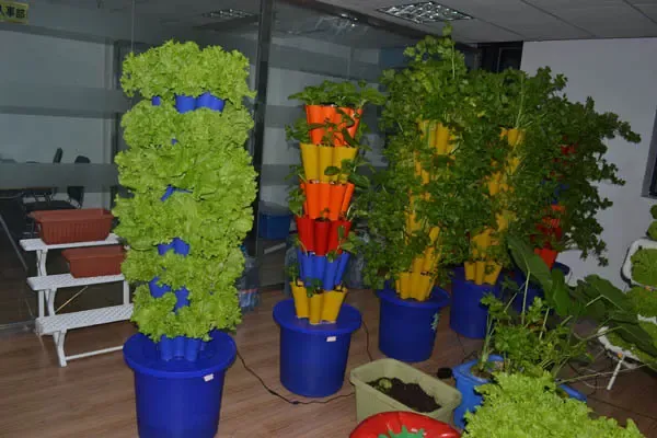 三种家庭阳台菜园装置简介阳台变身小菜园