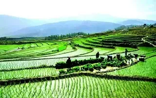 江西土地确权颁证面积达260多万亩 改革秩序平稳