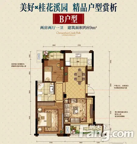 美好B户型