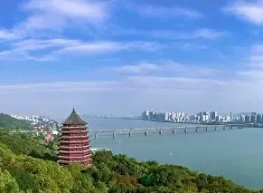 杭州主城区31宗宅地仍未开盘 土地市场辉煌难再