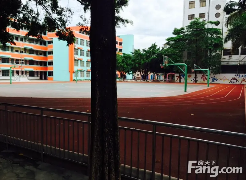 2015南宁小学招生地段 各小学开始接受现场咨询
