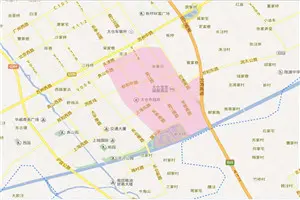 新区三小