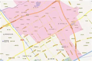 新区中学