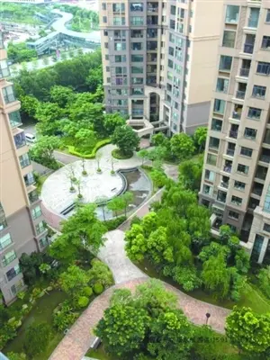 桂城地铁盘8年价涨4倍 业主一半广州人