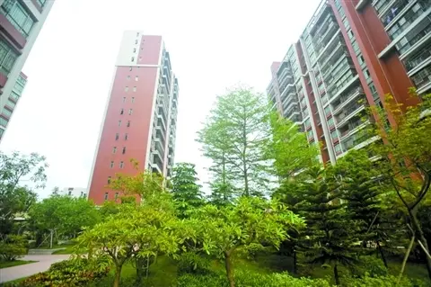 高明不动产登记落地 二手房市场平淡