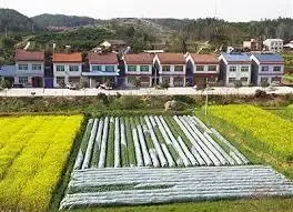 中央尝试农村土地改革 鼓励农民有偿退地