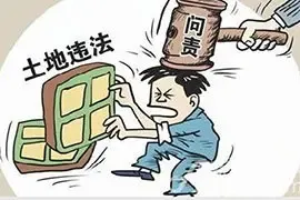 严惩违法占地行为 土地监督条例或年内出台