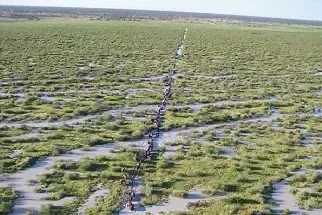 全球大私人地产将开卖 面积超江苏省