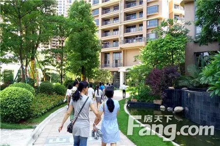 看房