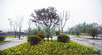 城东公园