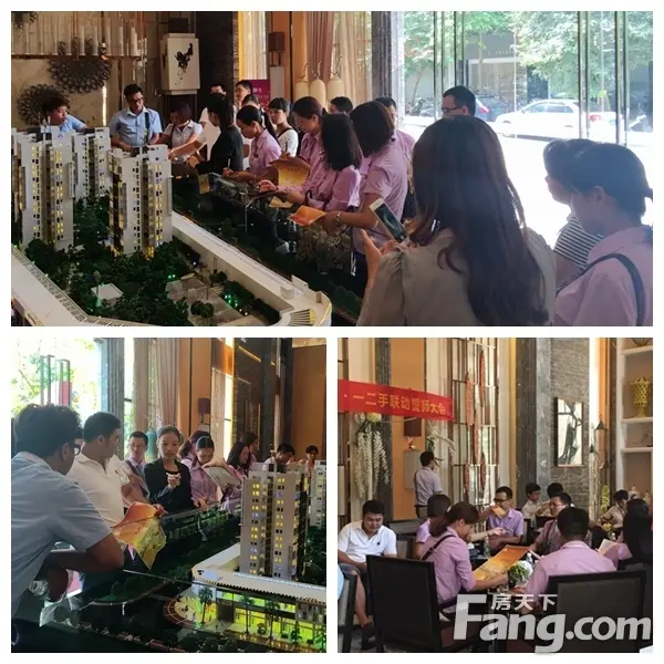 江门合作联盟重磅归来 上城摩卡经纪联动圆满落幕