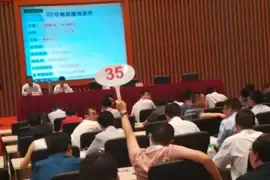 苏州园区年度首拍落幕 海亮溢价113.23%造地王