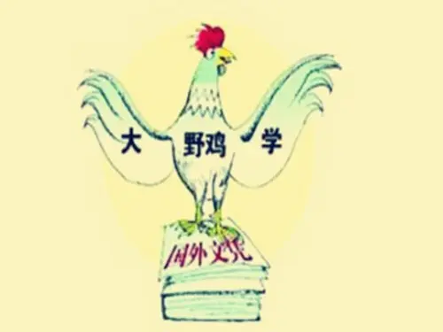 英国留学小心野鸡