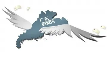 广东自贸区规划落地 三大片区各司其职