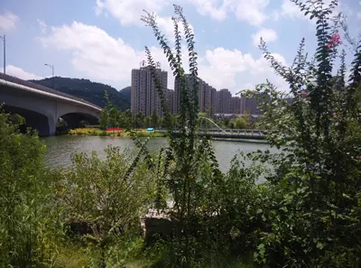梅溪湖
