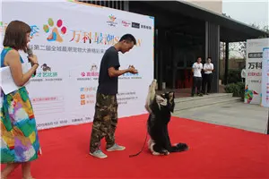 黑豆