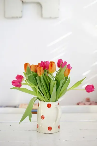 桌上摆一盆小花,让生活多一些情趣,多一点美好.