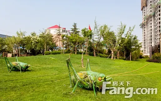 林荫大院养蝈蝈征文大赛开启赢双人双飞济州岛大奖