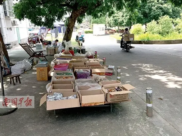 南宁:流动摊挺进小区"打游击" 投诉声接踵而来(图)