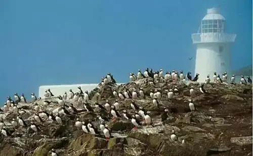 适合您短途旅行的3座大不列颠魅力岛屿