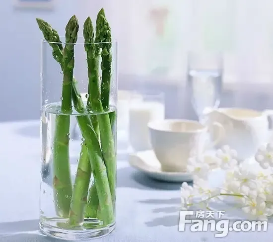 芦笋:小清新造型十足