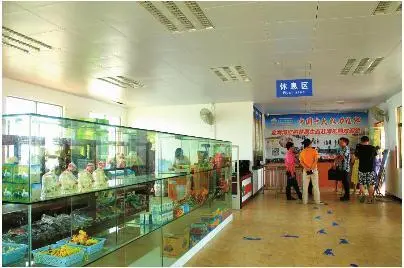随着景区设施不断改进，金海湾景区每天迎来大量游客。