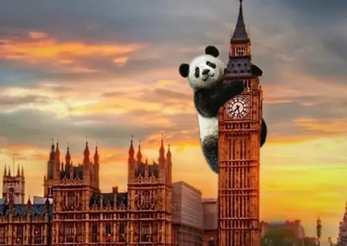 哪些地方适合英国移民 适合什么项目？