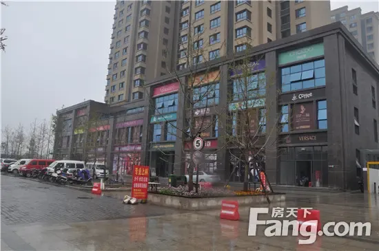 咸兴路与汉武大道交汇处向西100米4008132766 转 625445在售住宅高新